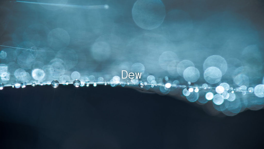 Dewのジャケット